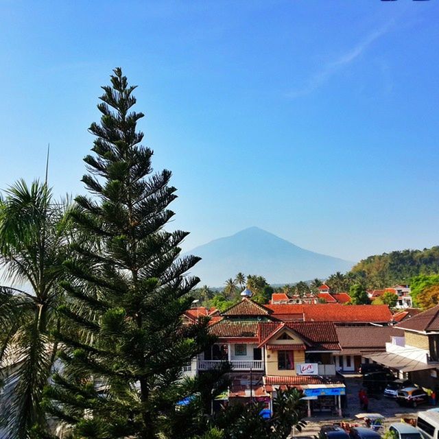 clear sky, tree, building exterior, blue, built structure, architecture, house, mountain, copy space, residential structure, palm tree, sunlight, sky, growth, day, nature, beauty in nature, landscape, town, tranquility