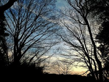 Silhouette of bare trees against sky at sunset