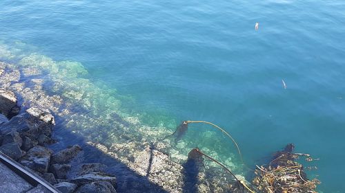 water