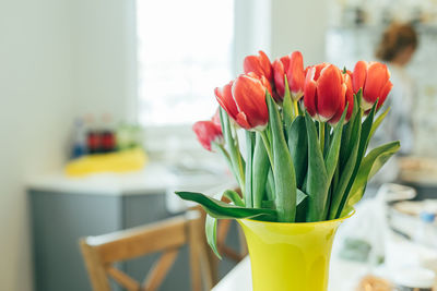 Close-up of red flowers