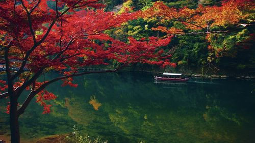 Scenic view of lake by trees during autumn