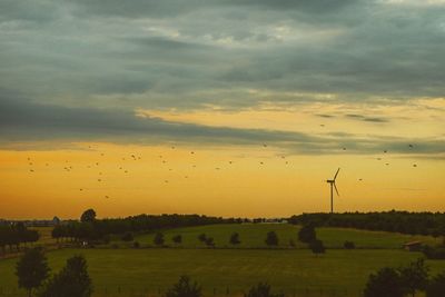 Scenic view of field against sky during sunset