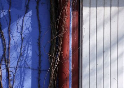 Close-up of blue sky