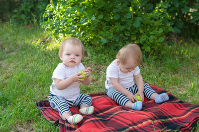 Cute boy sitting on grass