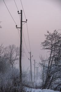 Bare tree on snow covered landscape