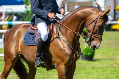 Man riding horse on field