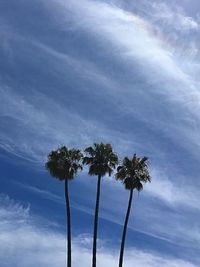 Low angle view of coconut palm tree against blue sky
