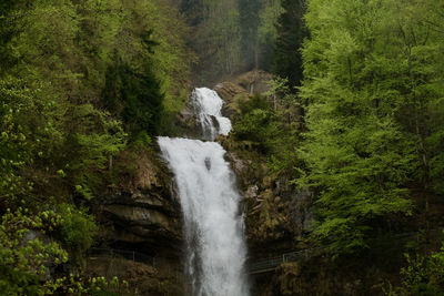 Scenic view of waterfall in forest, giessbachfälle switzerland