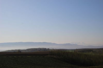 Scenic view of field against clear sky