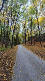 Road amidst trees during autumn