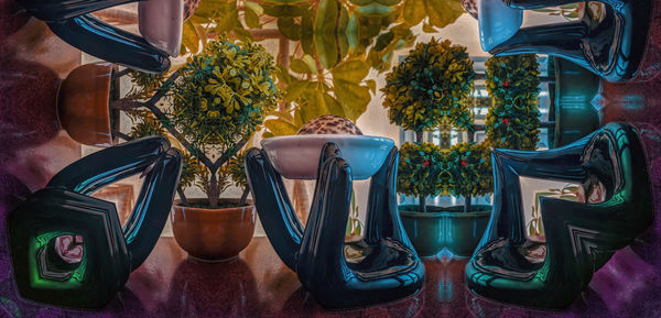 Close-up of potted plants on table