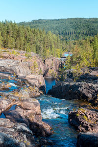 Scenic view of stream flowing through rocks in forest against clear sky