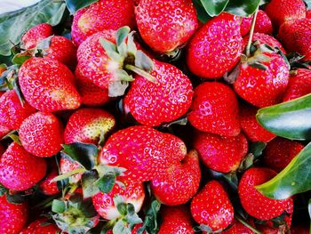 Full frame shot of strawberries