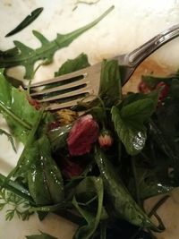 Directly above shot of fruits and leaves in plate