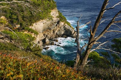 Scenic view of sea by cliff