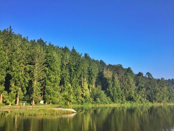 Scenic view of lake in forest against clear blue sky