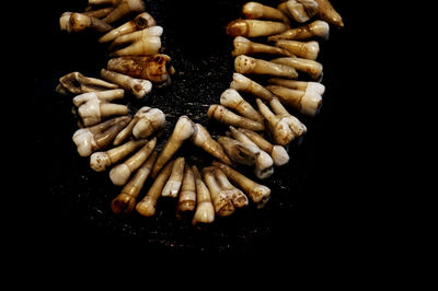 High angle view of animal teeth against black background