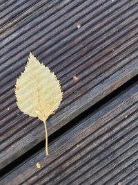 High angle view of dry leaves on wood