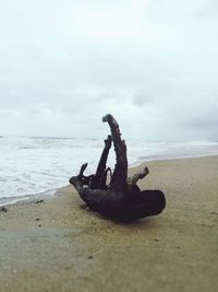 Driftwood on sand at beach against sky