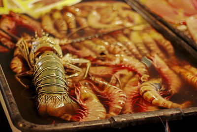 High angle view of seafood in market