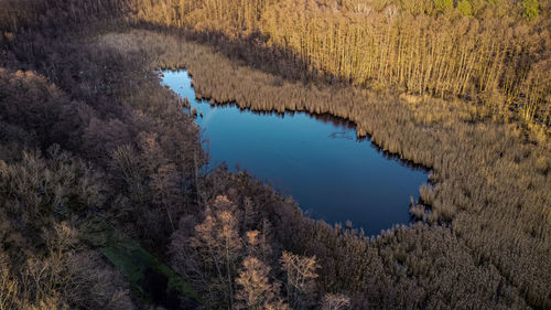 High angle view of lake amidst trees