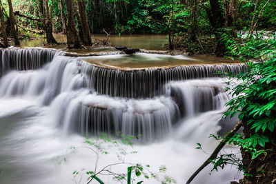 Scenic view of waterfall in forest