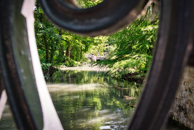 Reflection of trees in canal