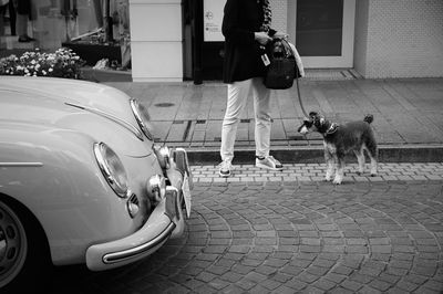 Low section of woman standing with dog by vintage car on street