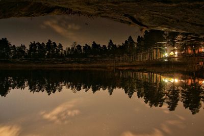 Reflection of trees in calm lake