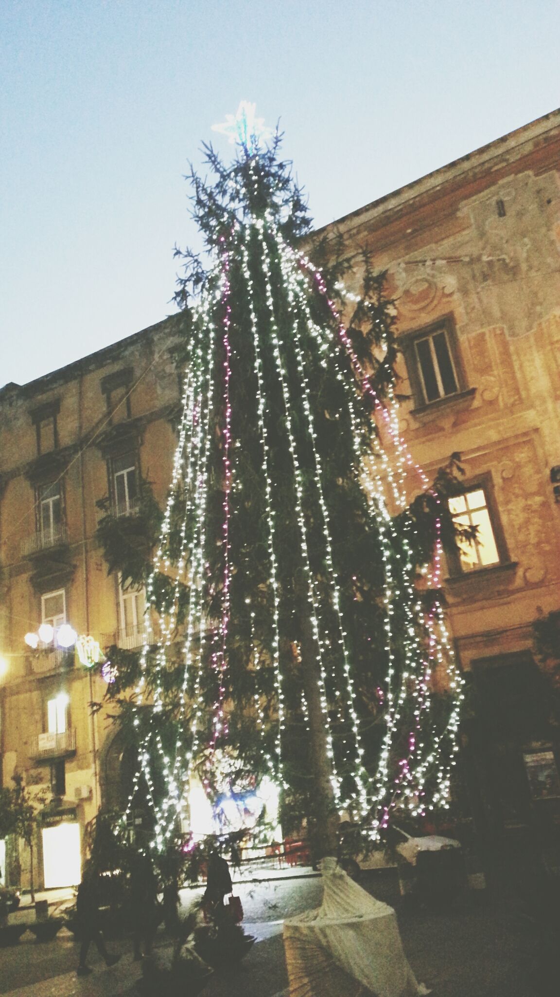 Via Napoli