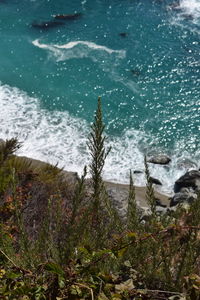 High angle view of sea shore