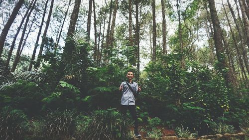 Man standing by trees in forest