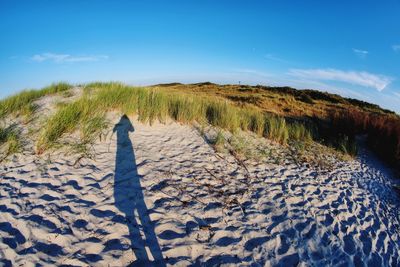 Rear view of man standing on land against sky