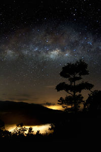 Silhouette trees against sky at night