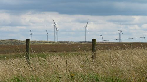 Windmills on field against sky