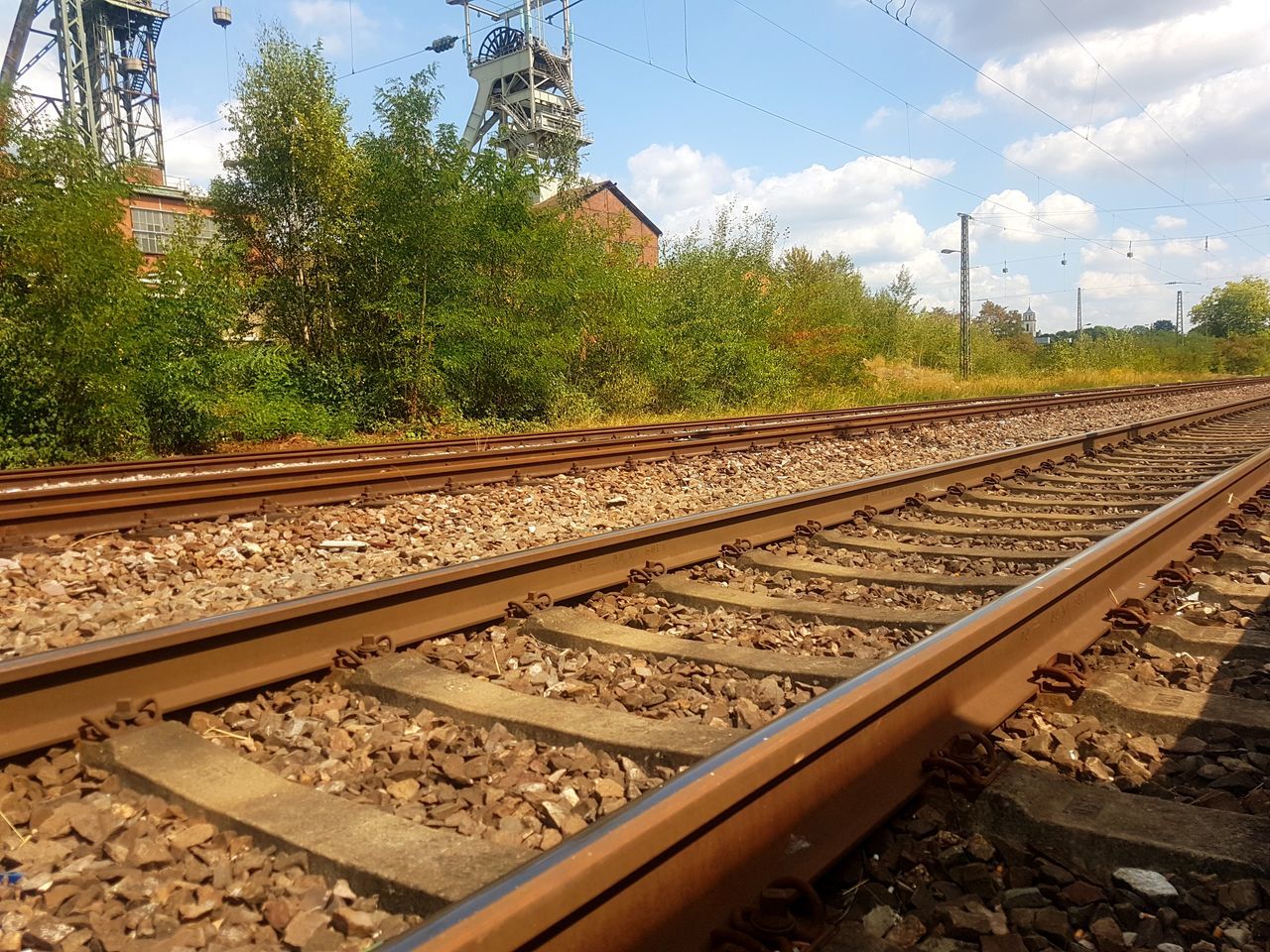 rail transportation, railroad track, track, plant, transportation, sky, tree, nature, day, no people, public transportation, sunlight, mode of transportation, gravel, cloud - sky, metal, travel, solid, direction, growth, outdoors