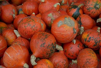 Full frame shot of pumpkins at market for sale