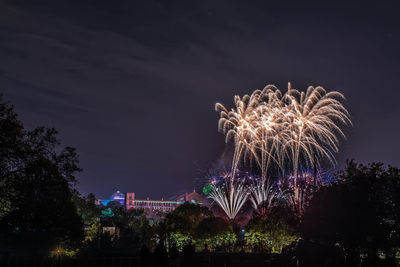 Low angle view of firework display against sky at night