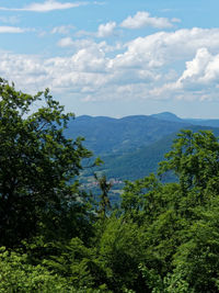 Scenic view of tree mountains against sky