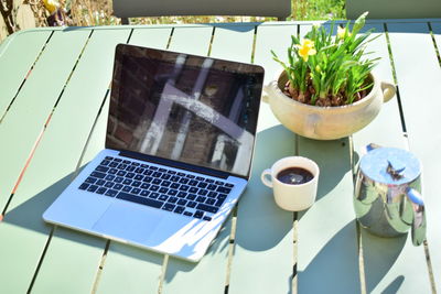 High angle view of potted plant on table