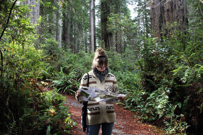 Woman reading map while standing on pathway in forest