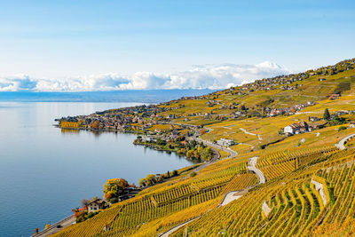 A view of the léman and the lavaux vineyards in the fall