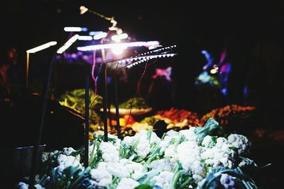 Illuminated lights at night