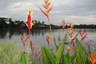 View of lake against cloudy sky