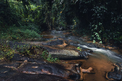 View of waterfall in forest