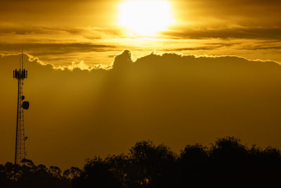 Low angle view of silhouette trees against orange sky