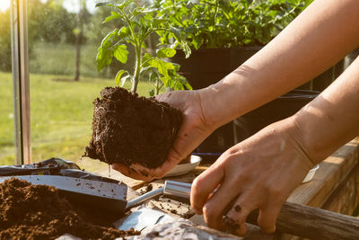 Midsection of woman holding wood against plants