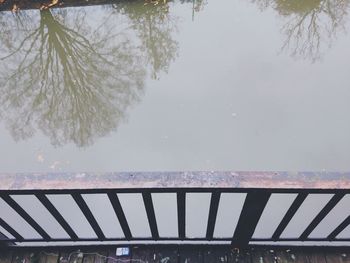 Reflection of trees in water