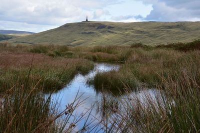 Scenic view of landscape against sky