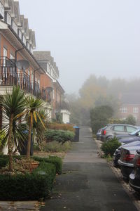 Road leading towards buildings